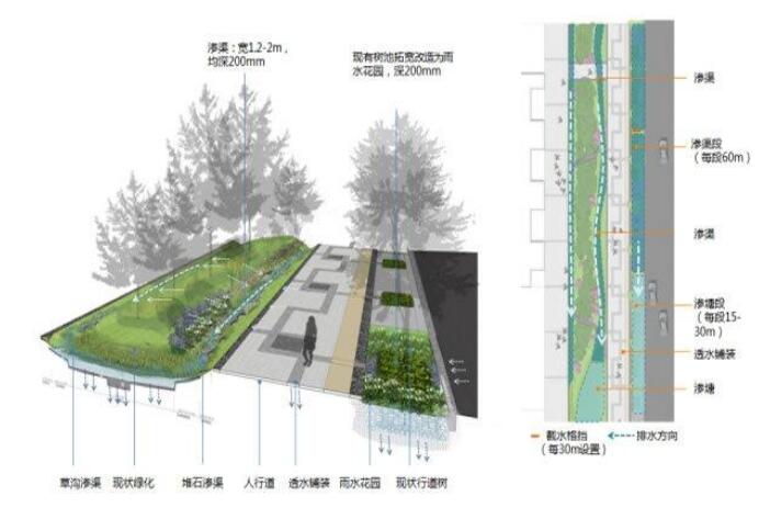 十堰恐龍化工介紹海綿城市道路施工結(jié)構圖！請看下文